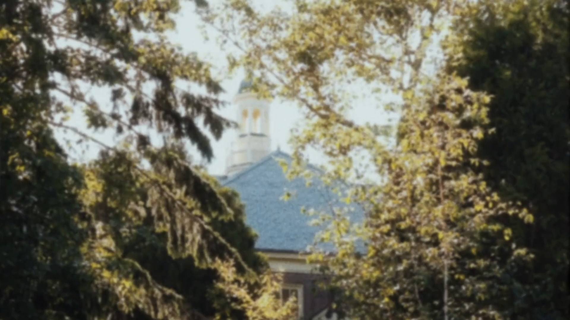 Sunlit trees framing a white cupola above a slate roof, from a Super8 film